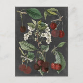 Obstsorten I Postkarte (Vorderseite)