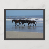 OBX POSTKARTE (Vorderseite)