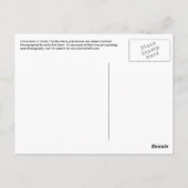 Ocala Florida Pferdezucht Postkarte Florida (Rückseite)