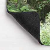 Ocala Florida Waldsteg mousepad Fotokunst (Ecke)