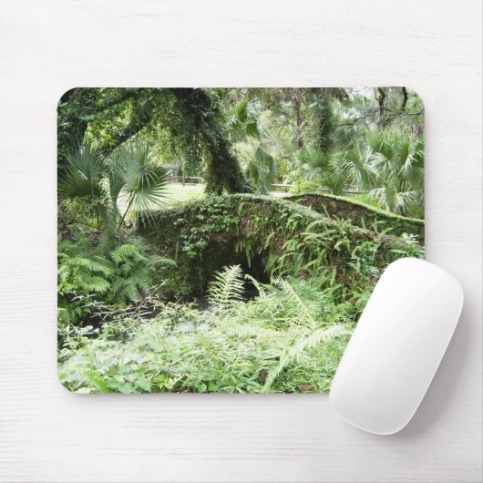 Ocala Florida Waldsteg mousepad Fotokunst (Mit Mouse)