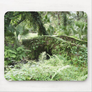 Ocala Florida Waldsteg mousepad Fotokunst