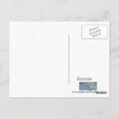 Ocala Gator Postcard Postkarte (Rückseite)