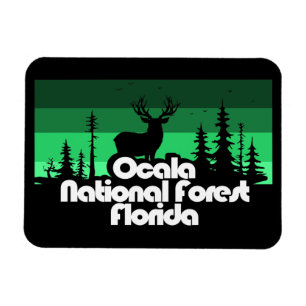 Ocala National Forest Florida Magnet