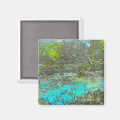 Ocala National Forest Florida Magnet (Vorderseite/Rückseite)