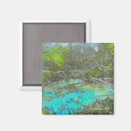 Ocala National Forest Florida Magnet (Vorderseite/Rückseite)