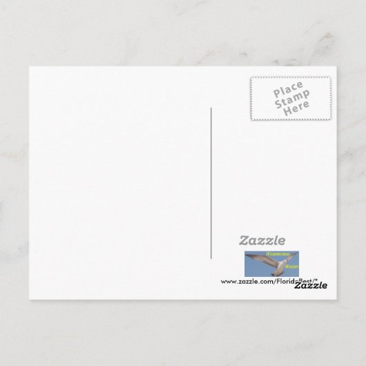 Ocala Panther Postcard Postkarte (Rückseite)