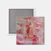 Occhiata Magnet (Vorderseite/Rückseite)