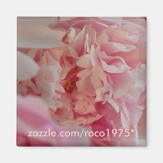 Occhiata Magnet (Vorne)