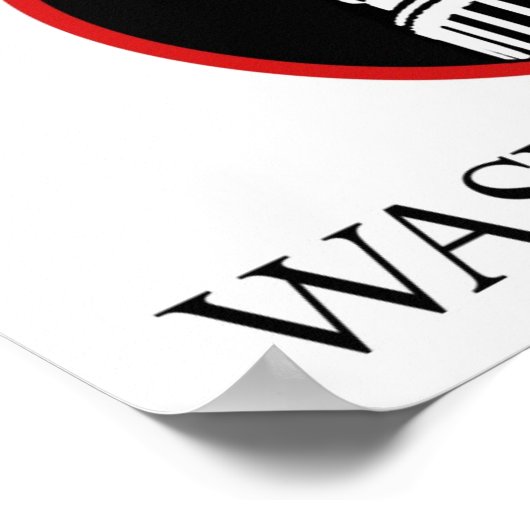 Occupy Washington DC Poster (Ecke)