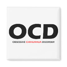 OCD - Obsessive Chihuahua-Störung