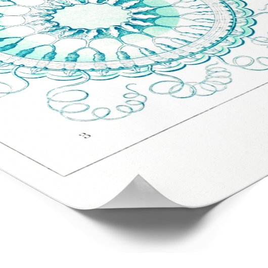 Ocean Animal Vintag Sketch Art Poster (Ecke)