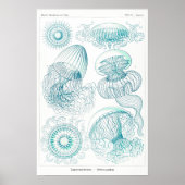 Ocean Animal Vintag Sketch Art Poster (Vorne)