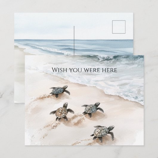Ocean Beach Coast Sea Turtles Postkarte (Vorne/Hinten)