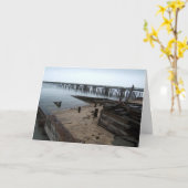 Ocean Beach Peir Karte (Gelbe Blume)