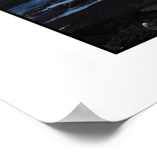 Ocean Beach Pier Poster (Ecke)