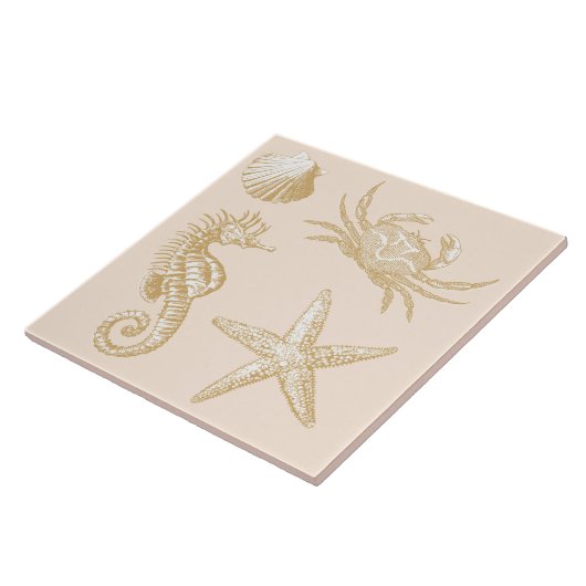 Ocean Beach Seepferd Starfish Crab & Muschel Muste Fliese (Seite)