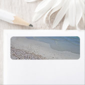 Ocean Beach und Muscheln (Insitu)