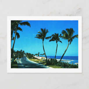 Ocean Boulevard, Palm Beach, Florida Vintag Postkarte