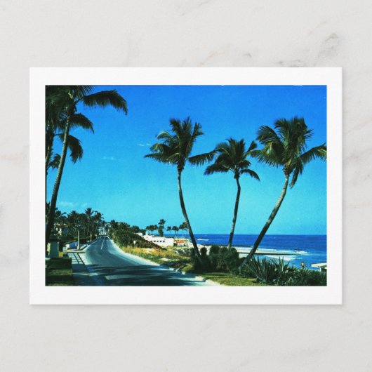 Ocean Boulevard, Palm Beach, Florida Vintag Postkarte (Vorderseite)