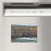 Ocean Carved Wonders Magnet (In Situ (Geschirrspüler))