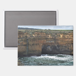 Ocean Carved Wonders Magnet