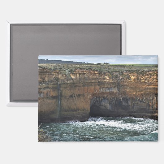 Ocean Carved Wonders Magnet (Vorderseite/Rückseite)