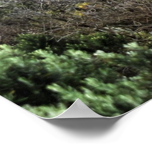 Ocean Carved Wonders Poster (Ecke)