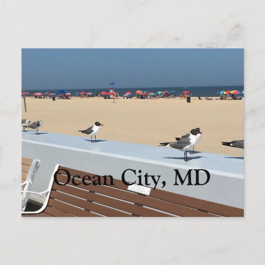 Ocean City Beach, MD mit Vögeln Postkarte (Vorderseite)