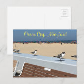 Ocean City Maryland Birds Postkarte (Vorne/Hinten)