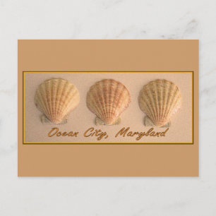 Ocean City, Maryland Postcard Postkarte