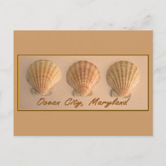 Ocean City, Maryland Postcard Postkarte