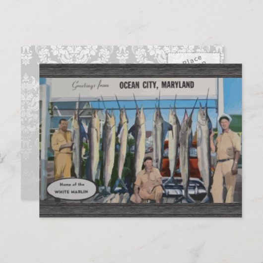 Ocean City, Maryland Zuhause of the White Marlin,  Postkarte (Vorne/Hinten)
