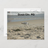 Ocean City, MD Postcard Postkarte (Vorne/Hinten)