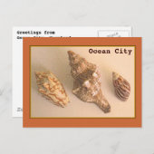 Ocean City Muscheln Postcard Postkarte (Vorne/Hinten)