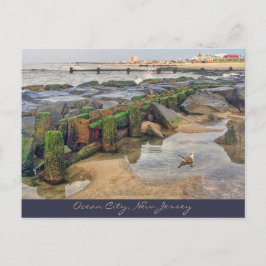 Ocean City, New Jersey Post Card Morning Swimmer Postkarte