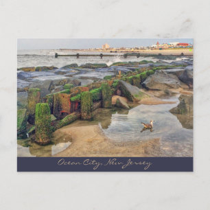 Ocean City, New Jersey Post Card Morning Swimmer Postkarte