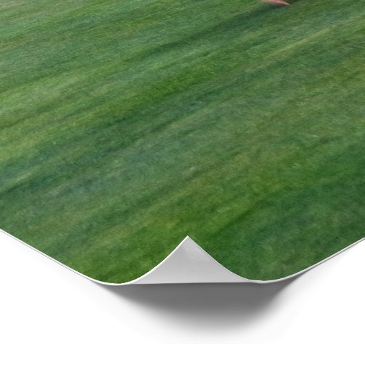 Ocean Course Chairs, Insel Kiawah, South Carolina Poster (Ecke)