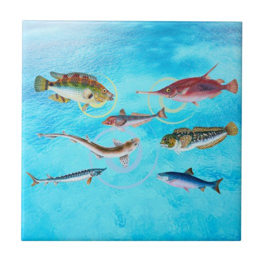 Ocean Delight Fliese (Vorderseite)