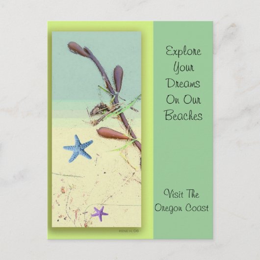 Ocean Dreams Postkarte (Vorderseite)