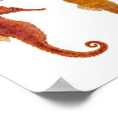 Ocean Equines Poster (Ecke)