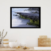 Ocean erosion bringer of new life poster (Küche)