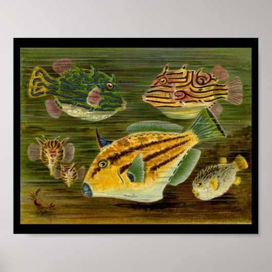 Ocean Fish Yellow Green Blue Art Print Poster (Vorne)