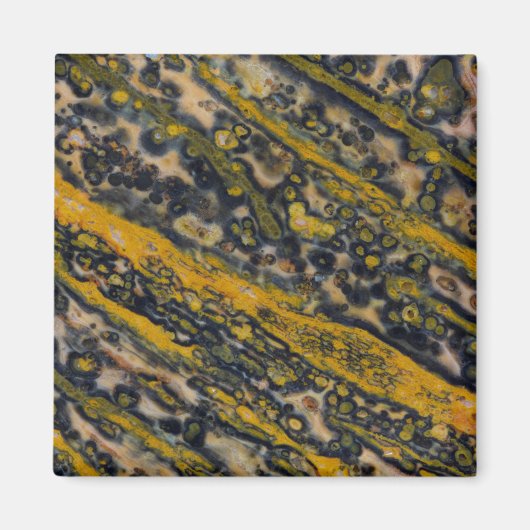 Ocean Jasper Magnet (Vorne)