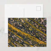 Ocean Jasper Postkarte (Vorne/Hinten)