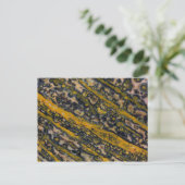 Ocean Jasper Postkarte (Stehend Vorderseite)