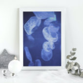 Ocean Jellyfish Fotografie Poster