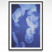 Ocean Jellyfish Fotografie Poster