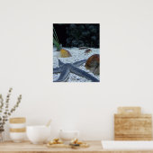 Ocean Life Poster (Küche)