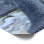 Ocean Life Poster (Ecke)